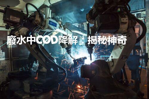 廢水中COD降解：揭秘神奇的環(huán)境魔法！